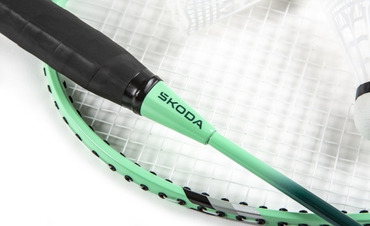 Набор для бадминтона (6U0050540) 2