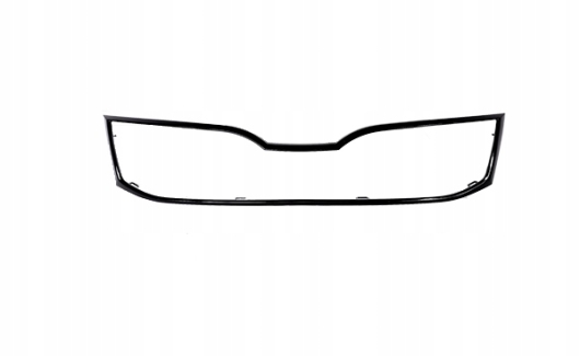 Накладка декоративна (565853761AF9R) 1