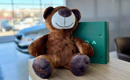 Плюшевый мишка Kodi (565087703D) 5