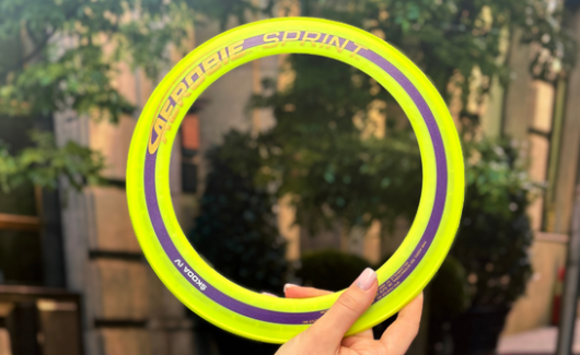 Летающее кольцо Škoda iV (25см) (000087703NB) 5