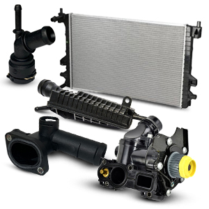 /files/sections/154_img.jpg 154