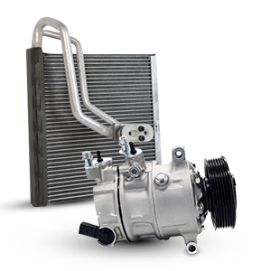 /files/sections/155_img.jpg 155